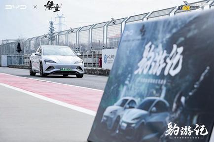 款集结 亮相专业赛道尽显极致驾驶体验米乐体育M6直播平台海豹家族“豹”(图4)
